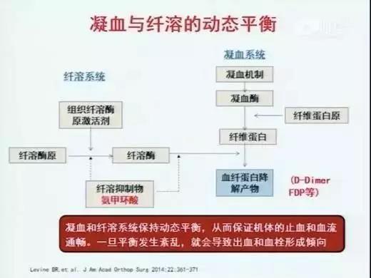 水蛭素，新型冠狀病毒。肺炎