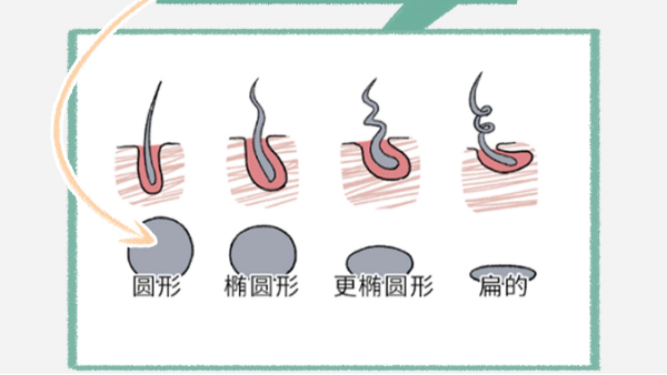 頭發(fā)軟VS頭發(fā)硬，到底哪個(gè)更好？答案讓人大吃一驚！