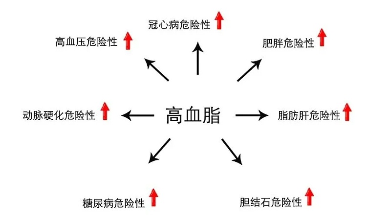 水蛭素、血脂高、血脂異常